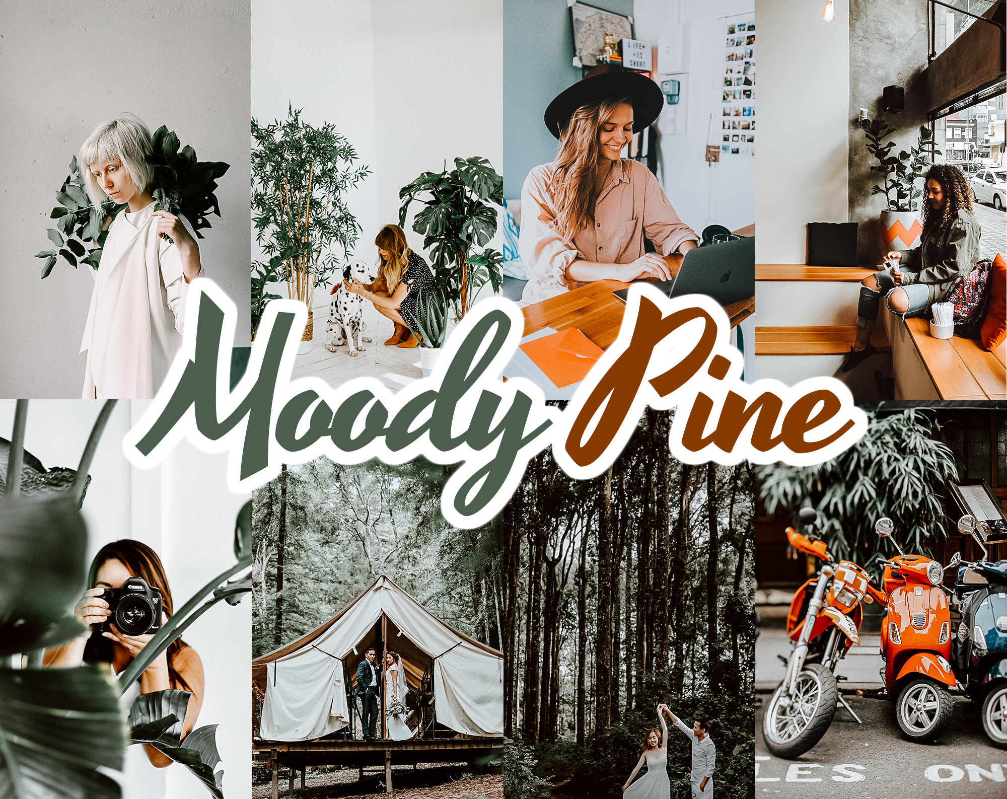 Moody Pine